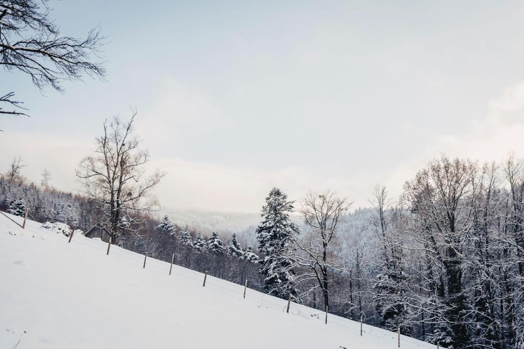 Waldjuwel Mostviertel Allhartsberg Dış mekan fotoğraf
